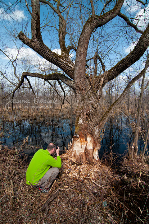 031_Biebrza - kwiecien 2013.jpg
